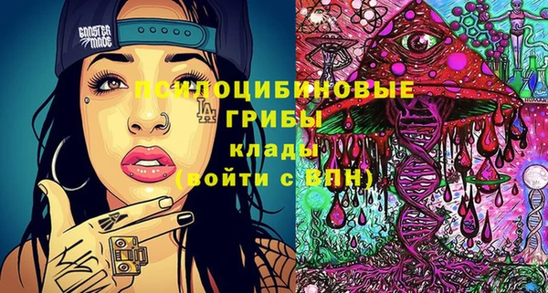 мдма Инта