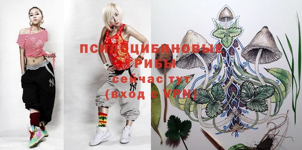 кокс Иннополис